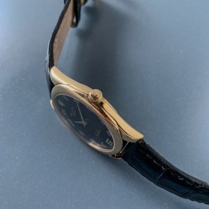 RolexCG 9.jpeg